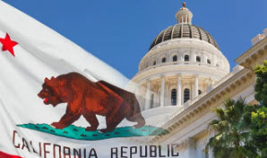 state bear